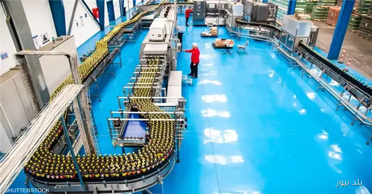 الصناعات الغذائية المصرية تسجل صادرات قياسية بقيمة 5.1 مليار دولار في 9 أشهر