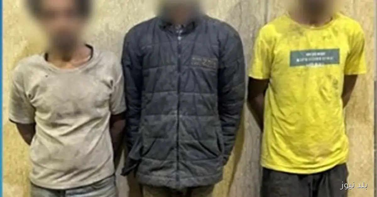 القبض على 3 متهمين بارتكاب أفعال مخلة أمام مدرسة للفتيات في القليوبية