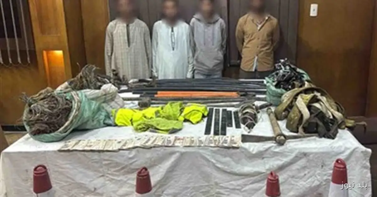 القبض على المتهمين بسرقة كابلات الإنترنت في سوهاج