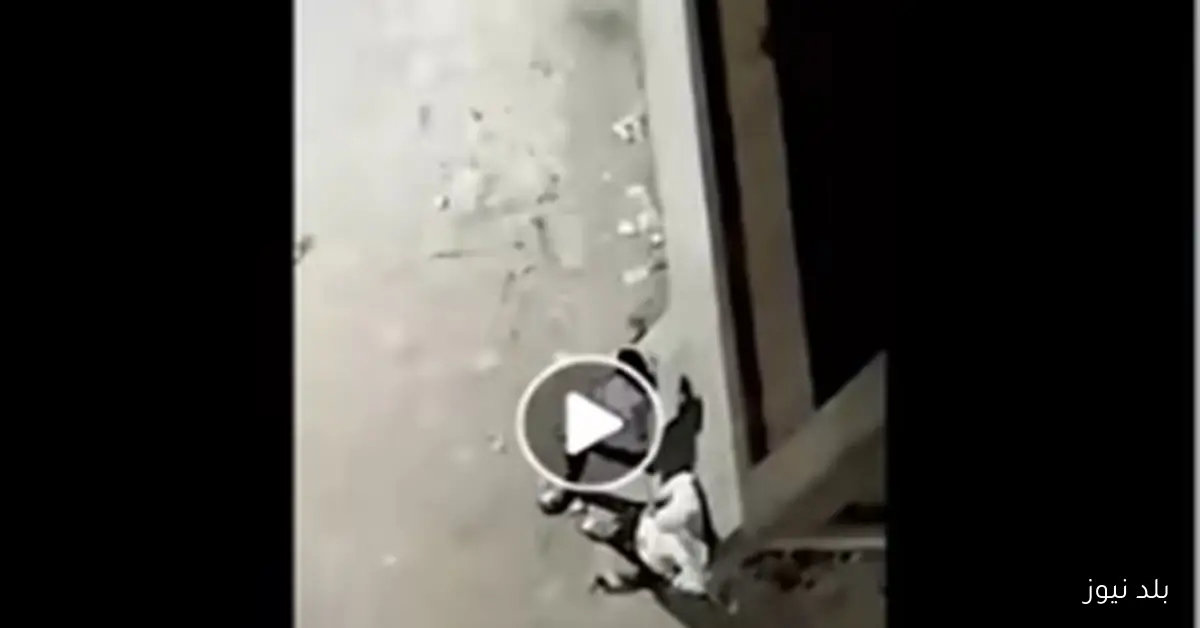 القبض على ثلاثة متهمين بترويج المخدرات في القليوبية