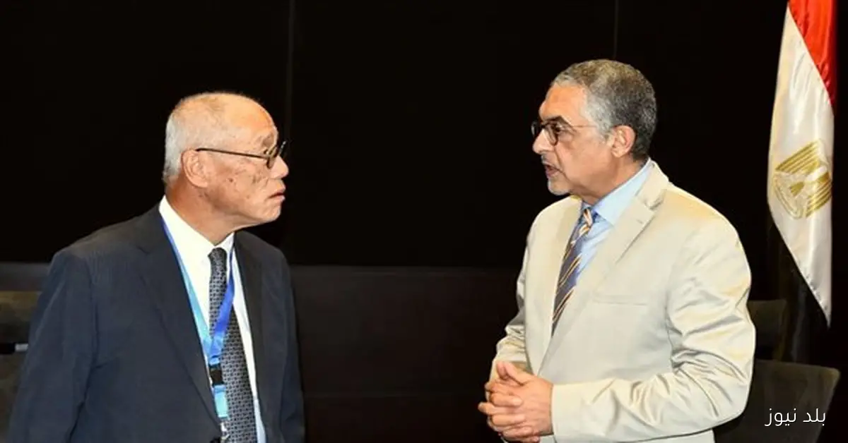 اللجنة المصرية اليابانية تناقش استراتيجية جديدة لتعزيز الفرص الاستثمارية المصرية في اليابان