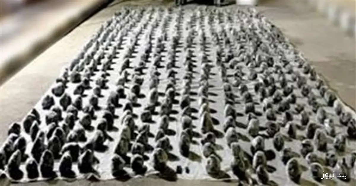 تاجر مخدرات يختبئ خلف شراء عقارات وسيارات لغسل 200 مليون جنيه