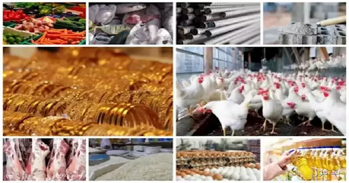 تحديث أسعار اليوم: ارتفاع البيض والدواجن وانخفاض الذهب
