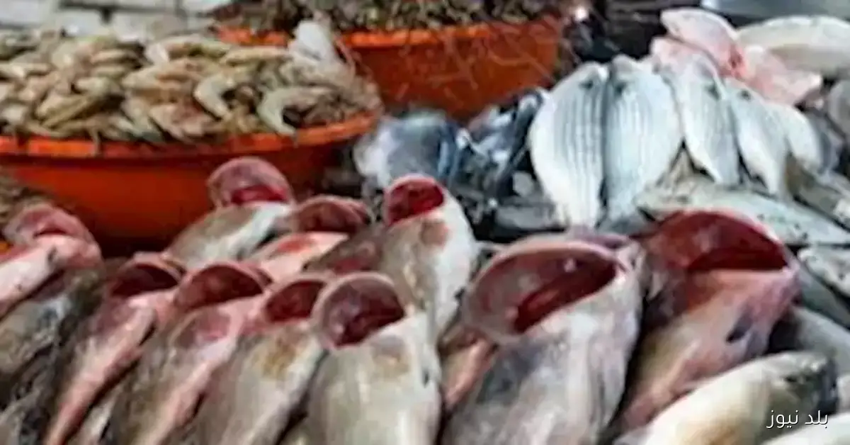 تراجع البلطي.. أسعار الأسماك والمأكولات البحرية في سوق العبور اليوم