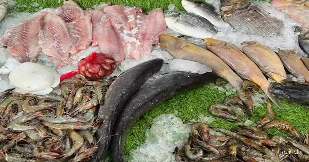 تعرّف على أسعار السمك والمأكولات البحرية في سوق العبور اليوم السبت