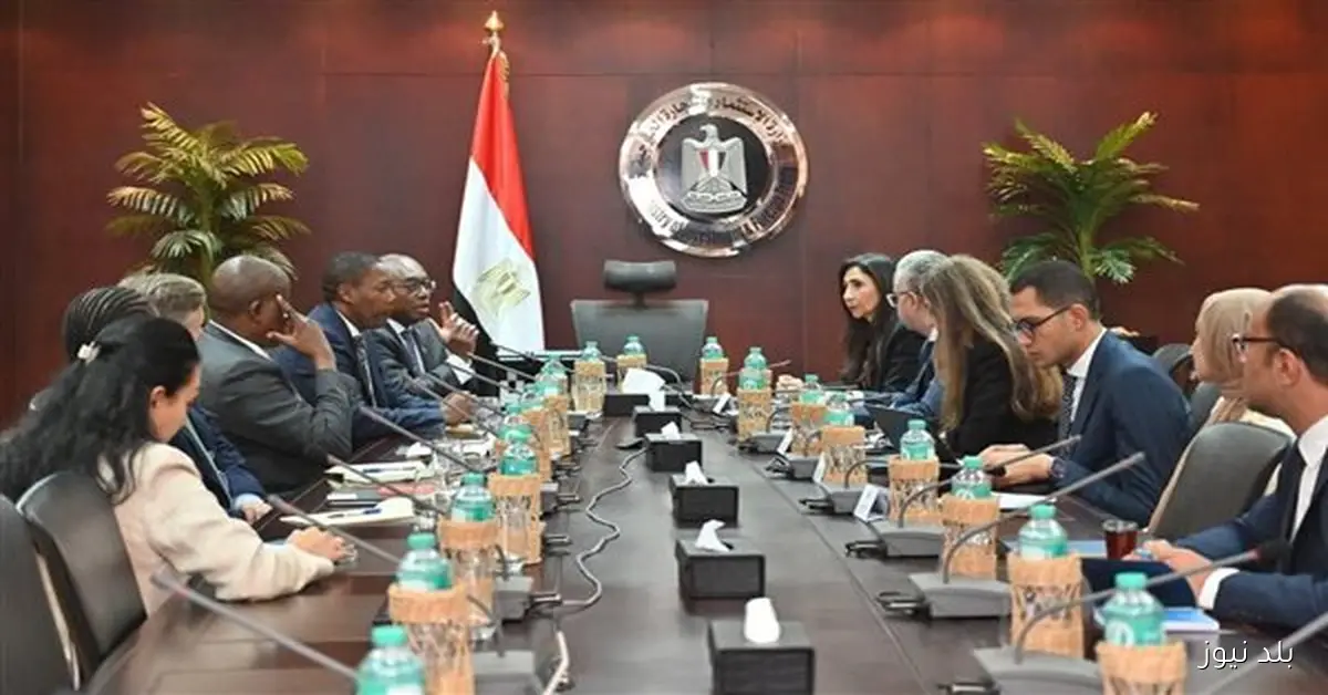 تعزيز التعاون الاقتصادي بين مصر وإفريقيا من خلال لقاء وزارة الاستثمار ووفد ستاندرد بنك