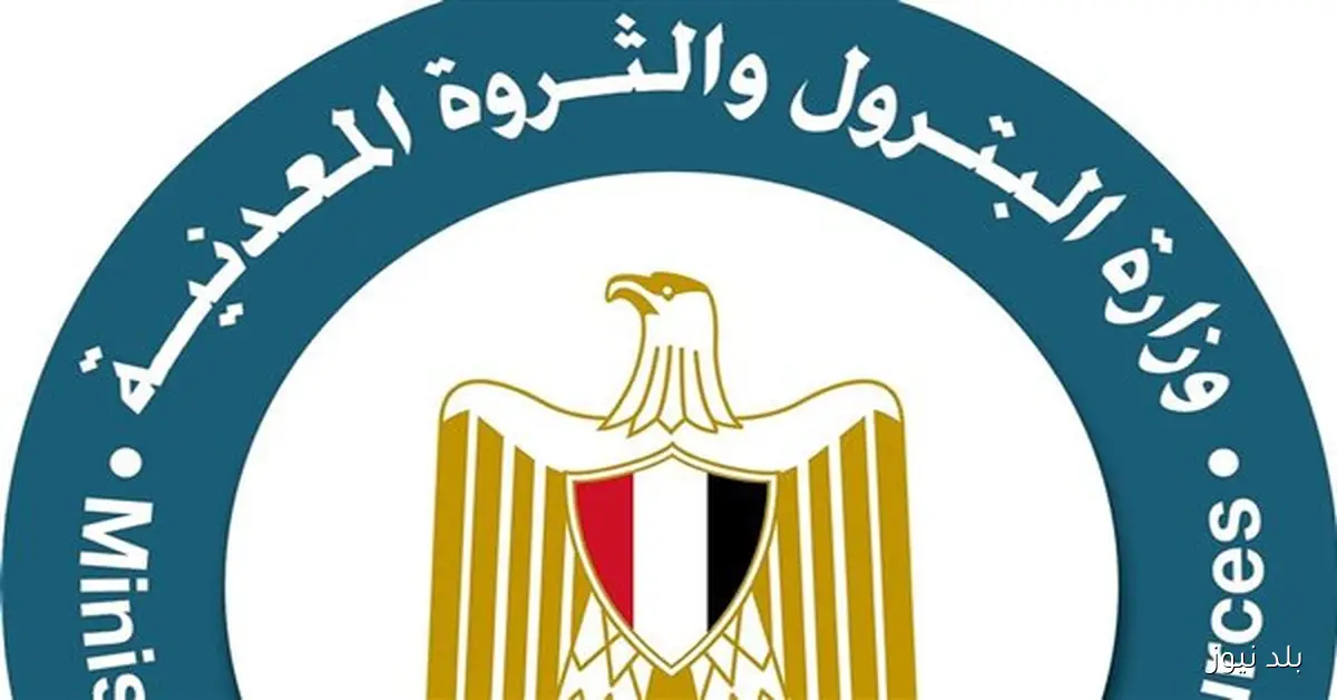 تعيين علاء عبد الفتاح رئيسا للقابضة للبتروكيماويات بعد 32 عاما من الخدمة في القطاع