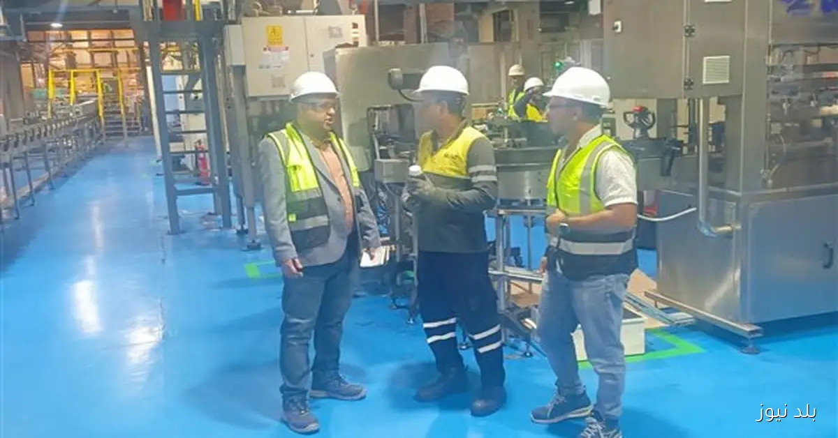 تكثيف التفتيش على المنشآت لتطبيق قانون العمل الجديد وتحقيق 262 محضرًا بشأن الحد الأدنى للأجور