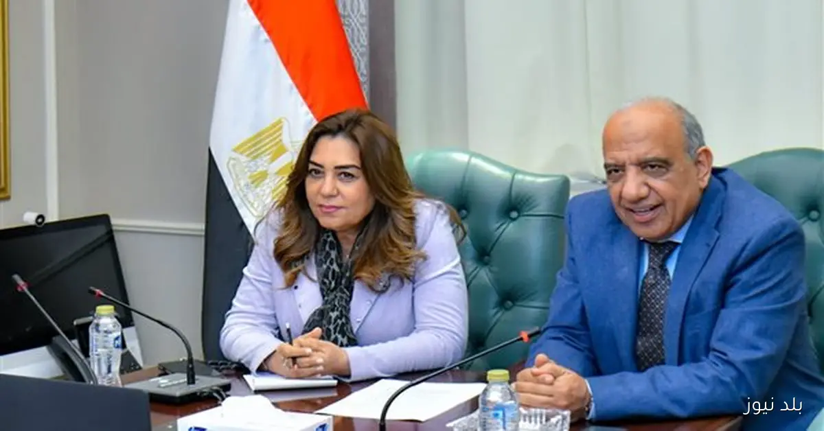 خطة مشتركة بين الكهرباء والبيئة لدمج مشروعات الطاقة المتجددة في أهداف التنمية المستدامة