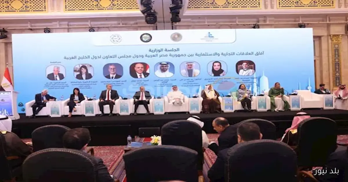 رئيس القادة الإماراتية: البنية التحتية المتينة لمصر شجعت الخليج على تعزيز استثماراته فيها