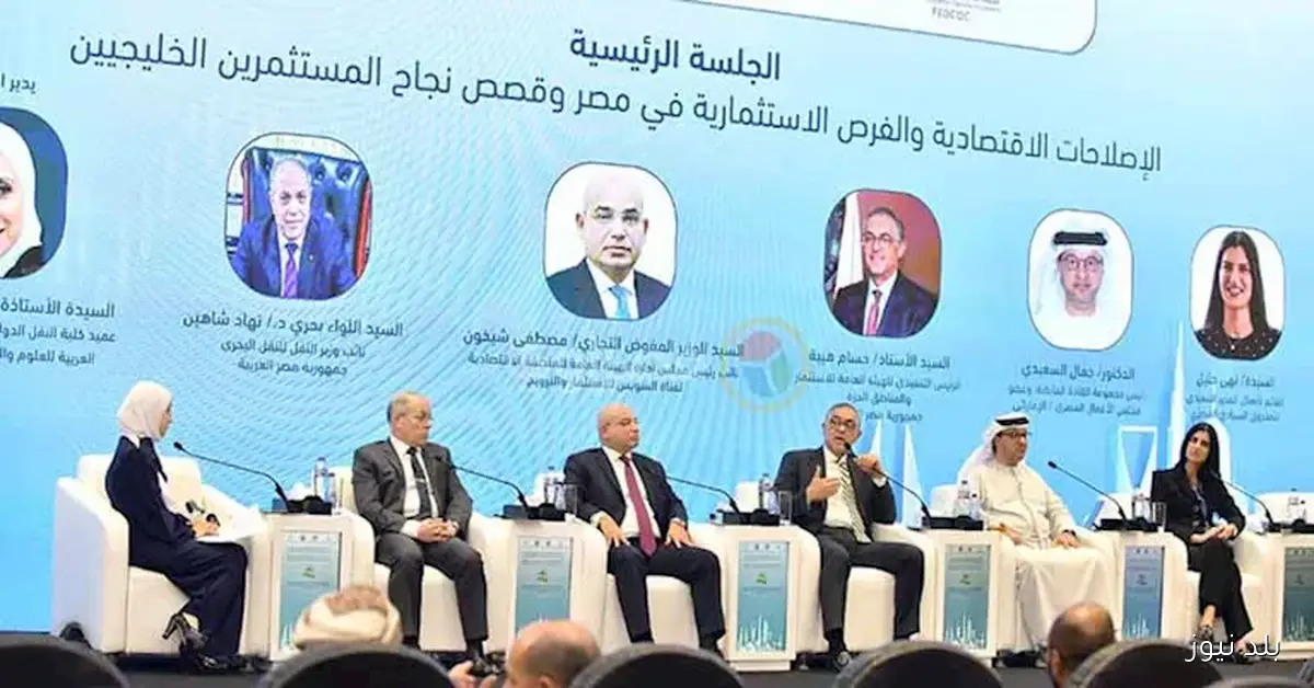 رئيس هيئة الاستثمار يؤكد: 98% من مشاكل المستثمرين في مصر تم وضع خريطة طريق فعالة لحلها