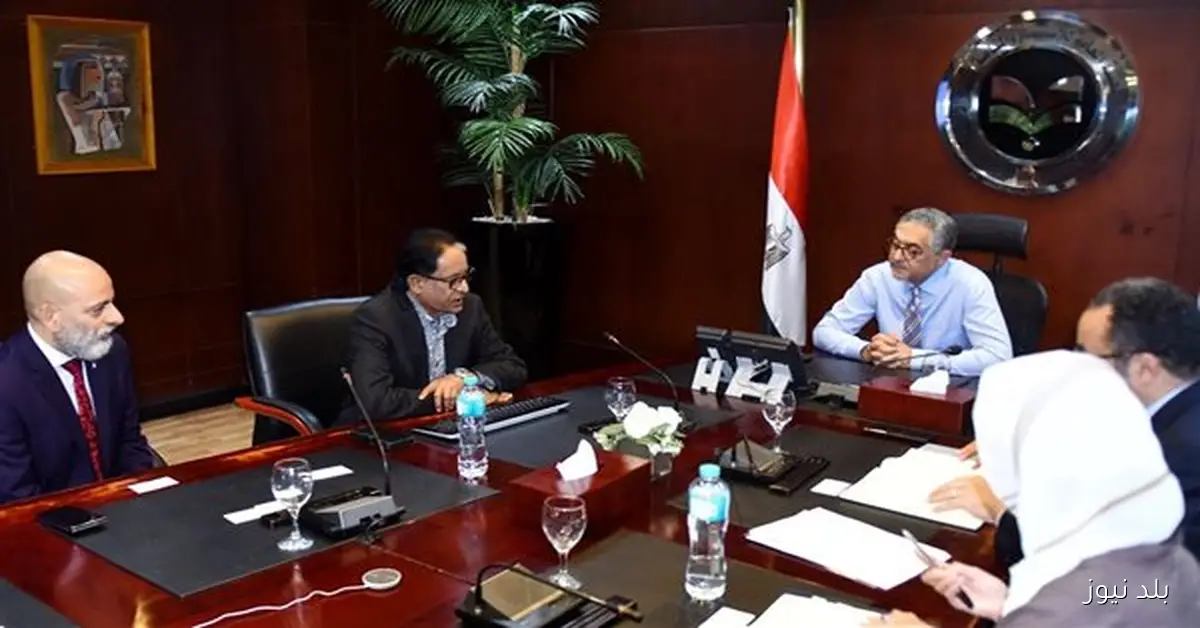 رئيس هيئة الاستثمار يناقش مع شركة ديستني إنرجي السنغافورية خطط إنشاء مصنع لإنتاج الأمونيا الخضراء في مصر