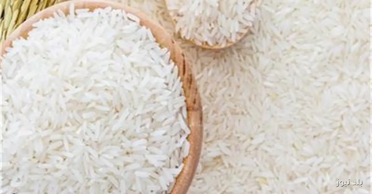 سعر الأرز الشعير في الأسواق اليوم الأربعاء