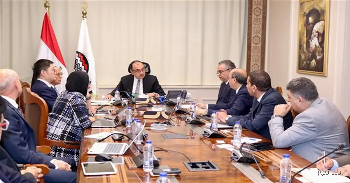 شراكة مصرية صينية لإنتاج الأمونيا الخضراء بطاقة 420 ألف طن سنويًا في النصر للأسمدة