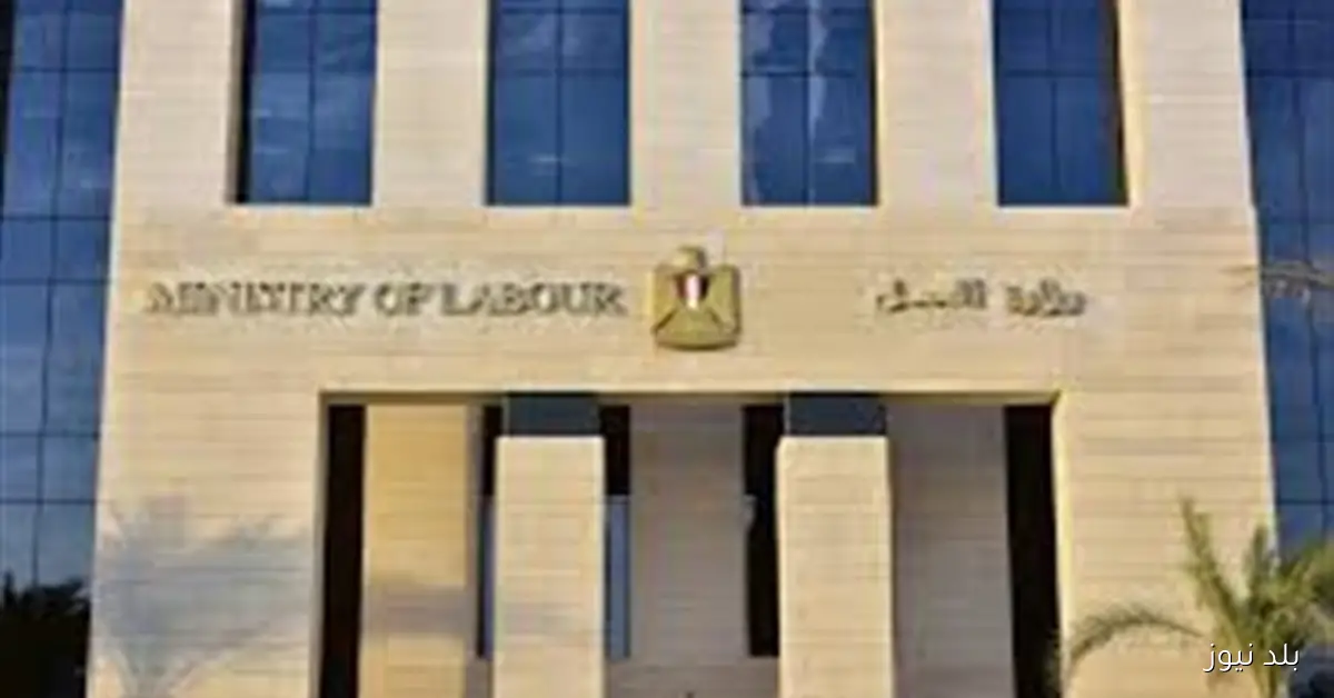 شركة النيل للتريكو تعلن عن 40 فرصة عمل جديدة في الجيزة