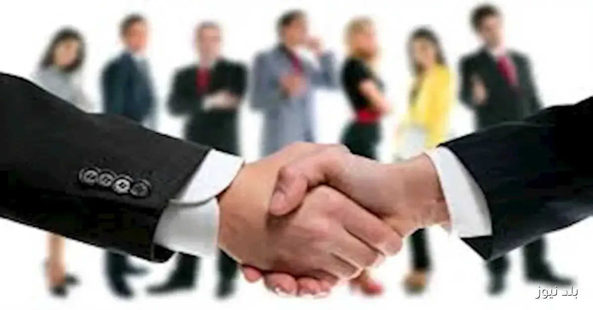 “شغلني” تعلن شراكة استراتيجية جديدة لتمكين شباب الصعيد بمهارات رقمية وفرص عمل