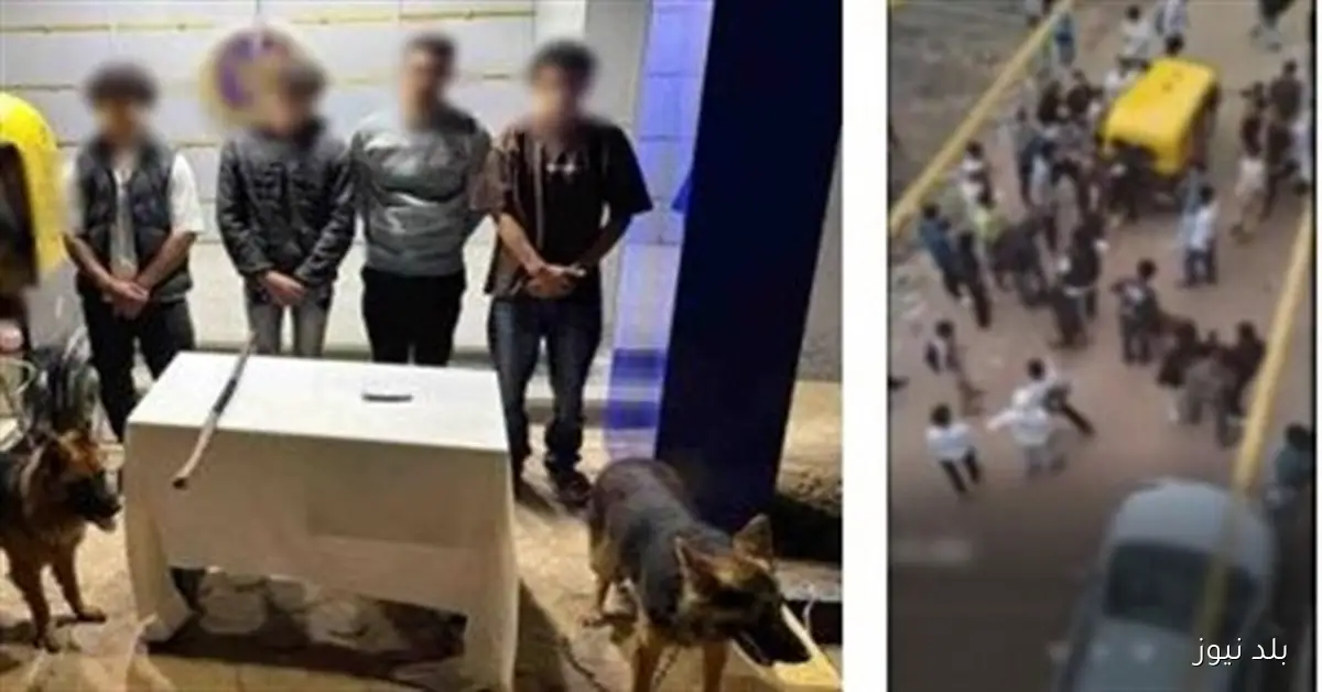 ضبط 3 طلاب وسائق توك توك أثناء مشاجرة في الغربية