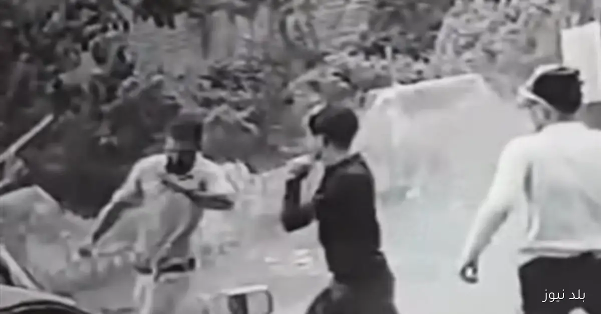 ضبط المتهمين بالاعتداء على شاب في الدقهلية أثناء دفاعه عن شقيقته وابنتها