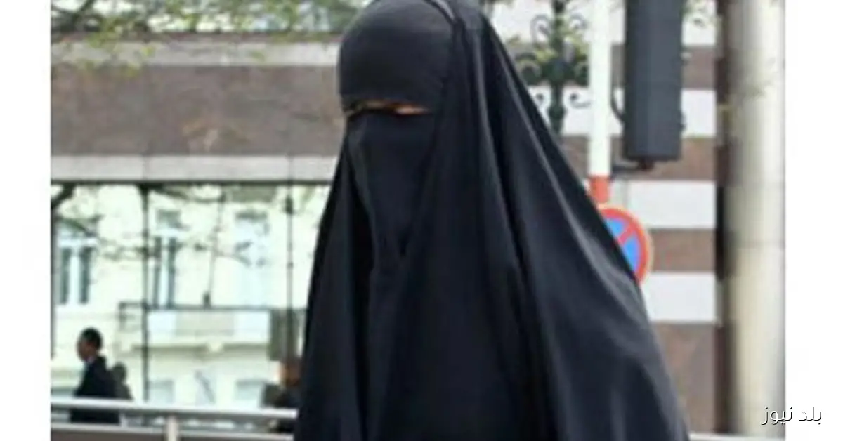 ضبط سيدة بتهمة انتحال شخصية ناخبة بلجنة بالبدرشين