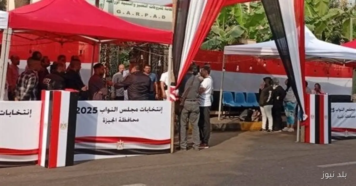 ضبط طالب بحوزته ورقتين تصويت مزيفتين داخل لجنة انتخابية بالصف