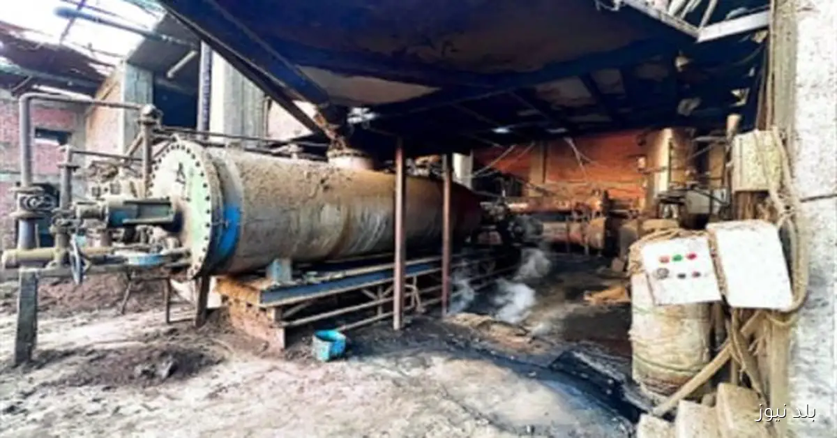 ضبط مصنع لإنتاج الأعلاف الحيوانية المغشوشة في القليوبية