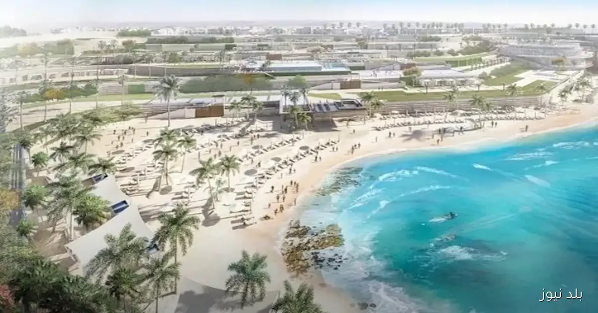 علم الروم: تأثير الصفقة القطرية على الدولار والاقتصاد المصري وكيفية استجابتهما