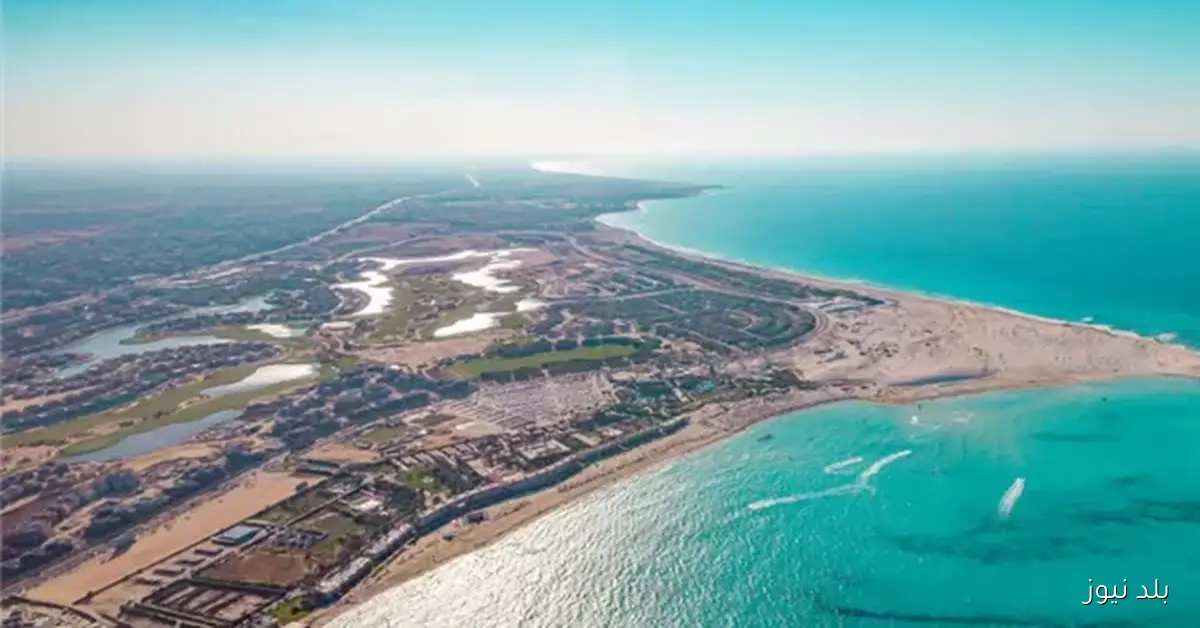 قانون المطورين العقاريين ضرورة ملحة وفقًا لعضو غرفة شركات السياحة حول فوائد استثمار مشروع علم الروم