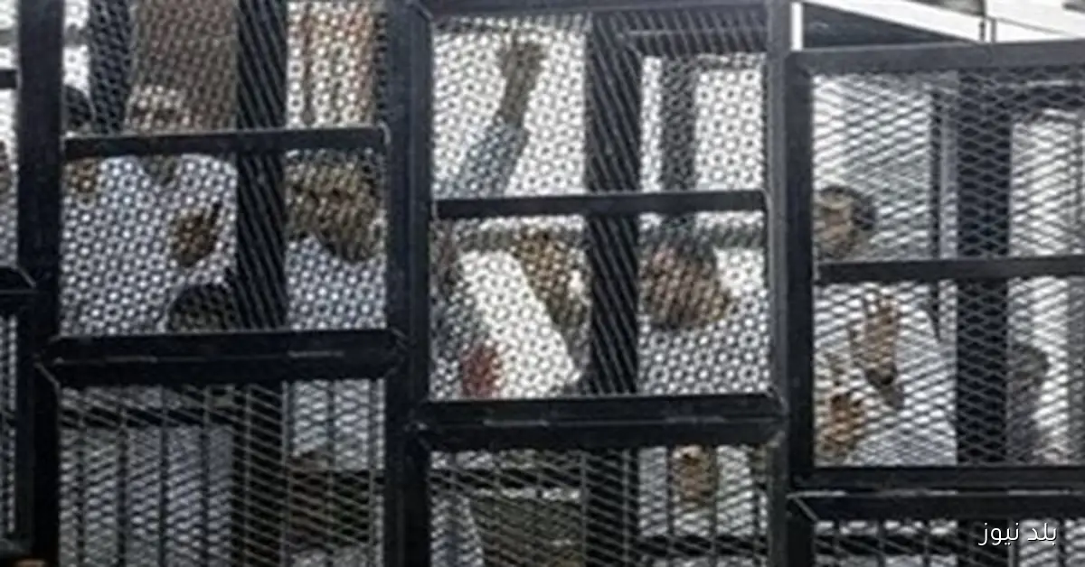 محاكمة 25 متهمًا في خلية القطامية اليوم