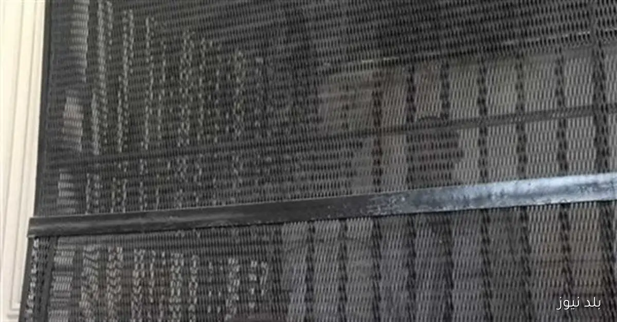 محاكمة ثلاثة عاطلين بتهمة إدارة كيان تعليمي غير مرخص في القاهرة