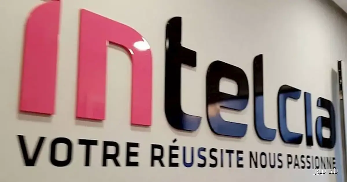 مذكرة تعاون بين “إنتلسيا” و”إيتيدا” لرفع عدد العاملين إلى 5 آلاف في مصر بحلول 2026