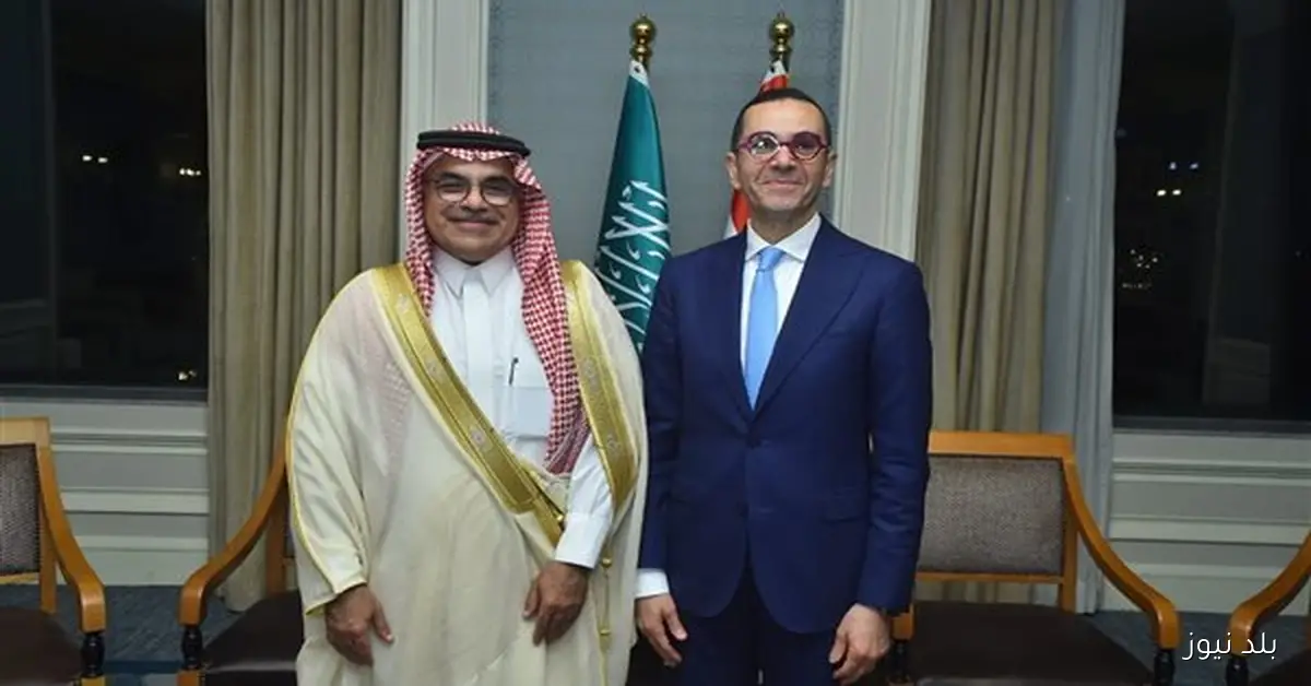 مصر والسعودية تعززان جهود توطين صناعة السيارات والطاقة المتجددة والربط الملاحي نحو إفريقيا