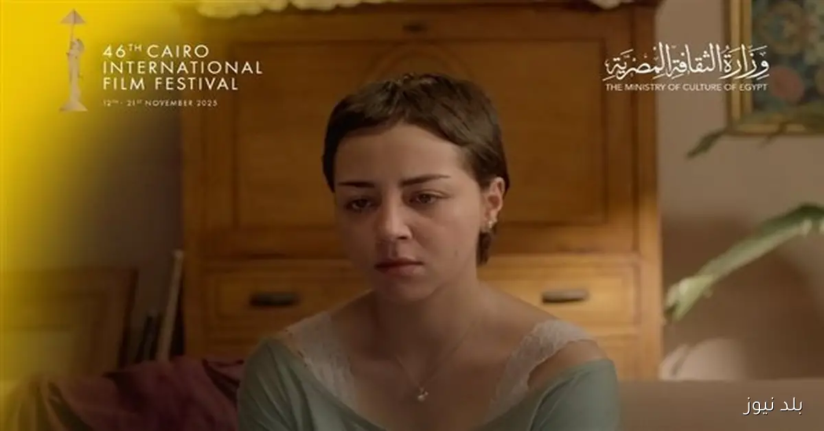 مهرجان القاهرة السينمائي يكشف عن القائمة النهائية لعرض البانوراما المصرية خارج المسابقة