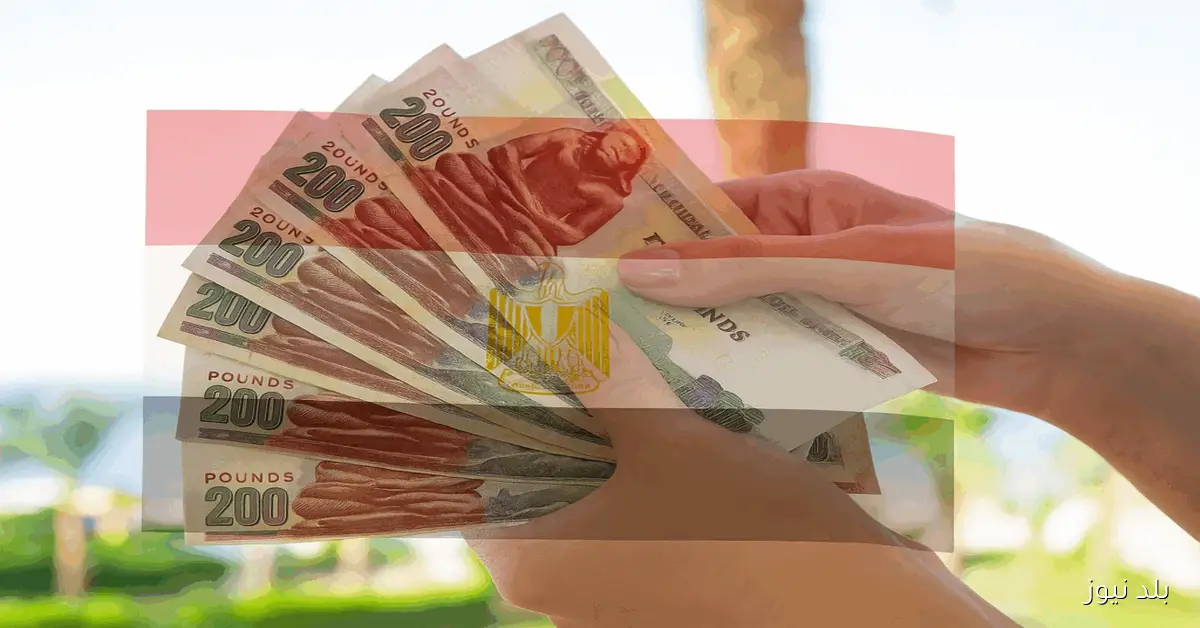 وزارة المالية الزيادة الجديدة.. موعد صرف مرتبات شهر نوفمبر 2025 للموظفين يبدأ 22 من الشهر ولمدة 5 أيام