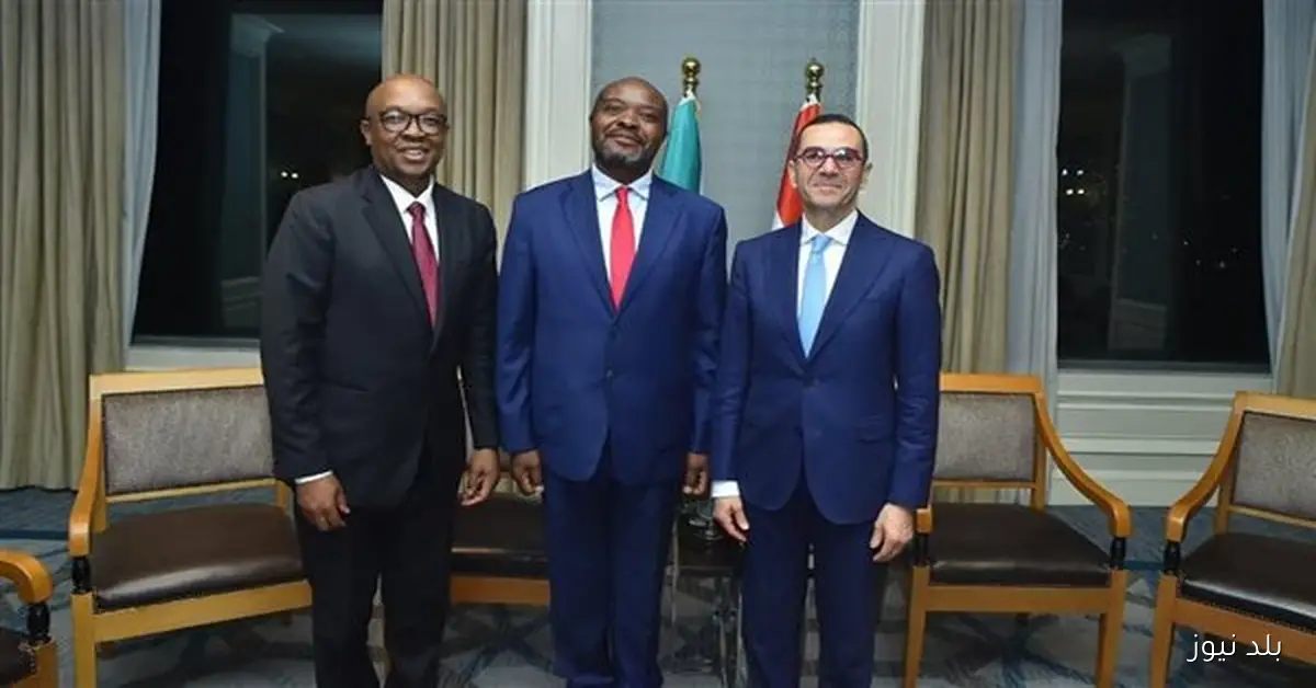 وزير الاستثمار يؤكد السعي لمضاعفة التجارة البينية وتعزيز مجلس الأعمال المصري الجنوب إفريقي