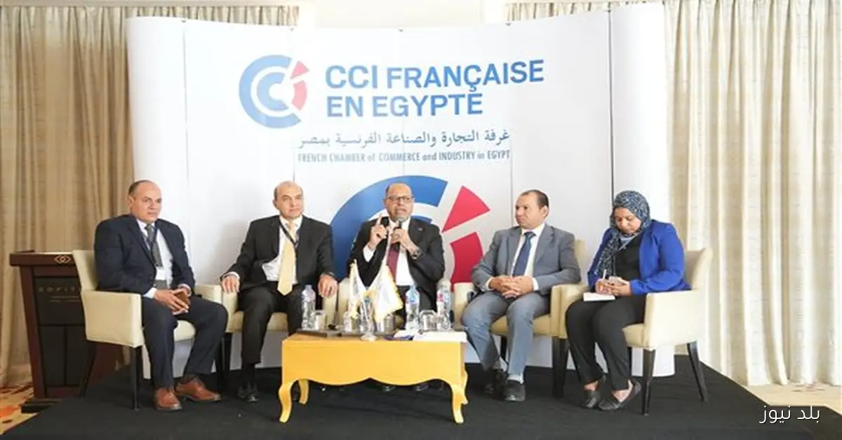 وزير العمل يناقش تأثير قانون العمل الجديد على مناخ الاستثمار خلال اجتماع غرفة التجارة والصناعة الفرنسية بمصر