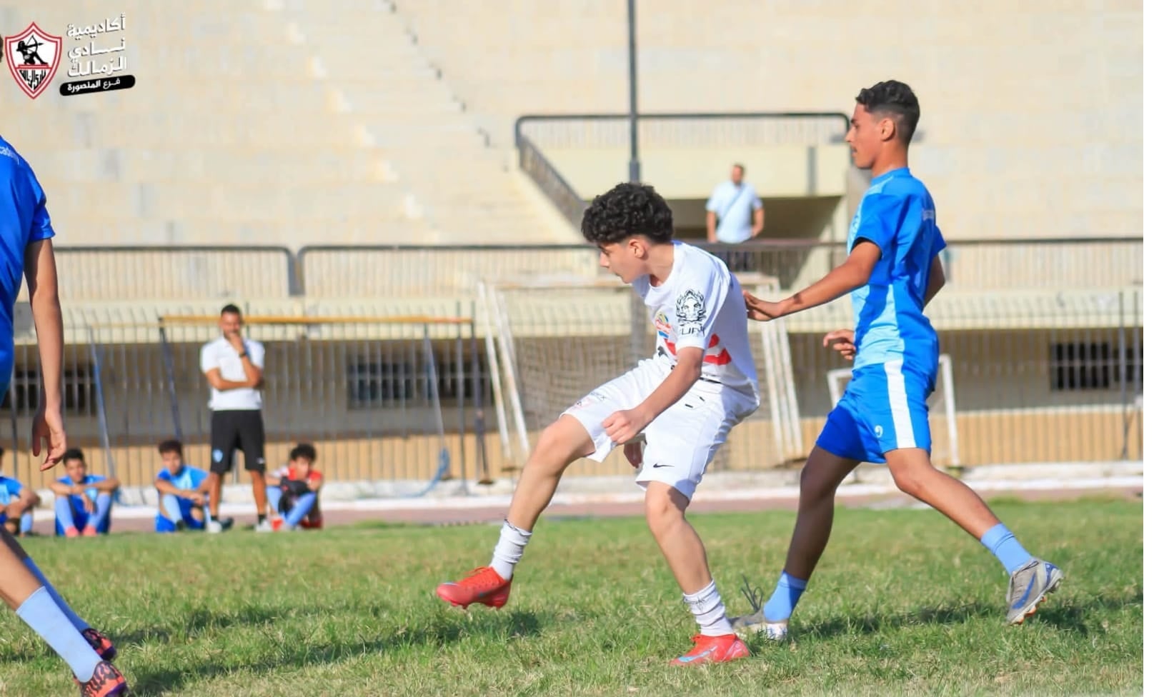 مواهب غزل المحلة