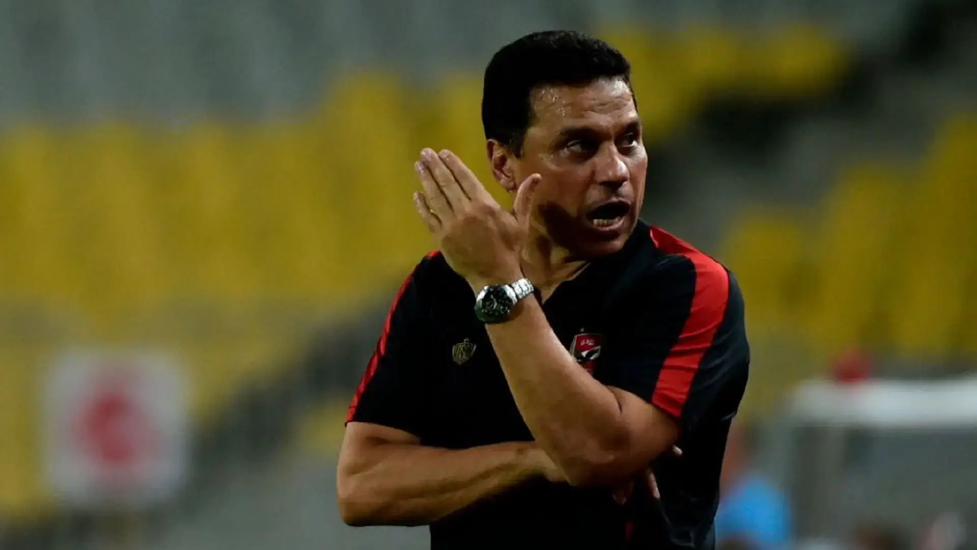 حسام البدري حسام البدري